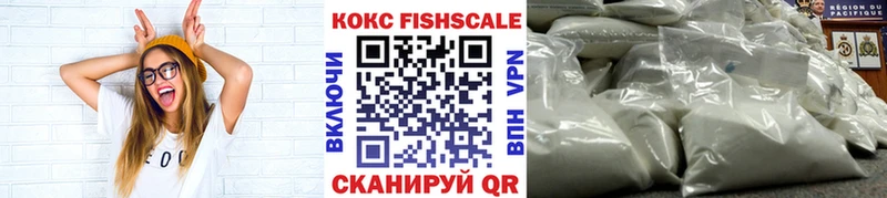 купить наркотики цена  Красный Сулин  COCAIN Fish Scale 
