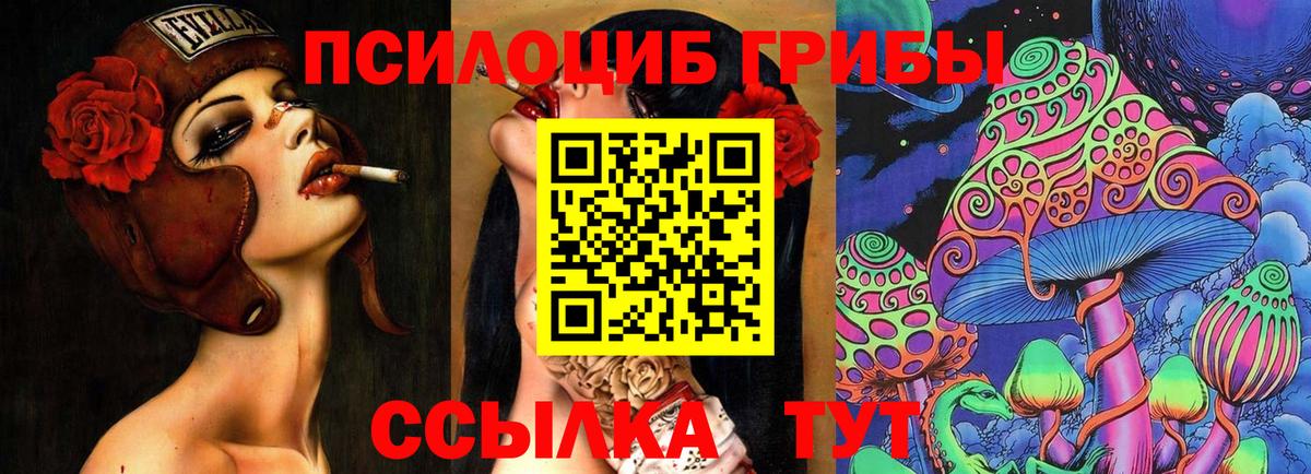 Галлюциногенные грибы прущие грибы Красный Сулин