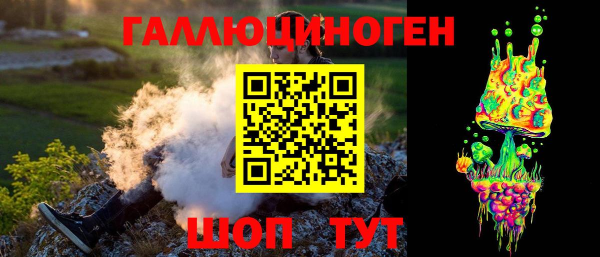 Псилоцибиновые грибы Psilocybine cubensis  Вход с VPN  Красный Сулин  Галлюциногенные грибы мухоморы 